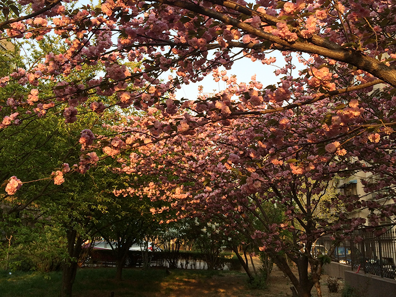 太陽集團2018網站